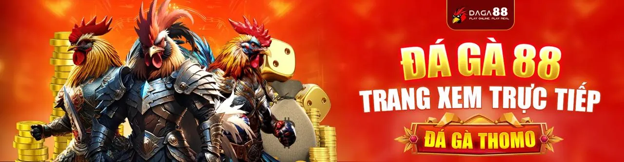 Đá gà trực tiếp tại i9bet100 nhà cái