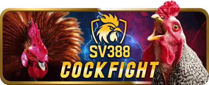 Minh họa quy trình đăng ký tài khoản i9bet100 nhà cái với các bước điền thông tin